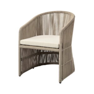 Los Cabos karmstol desert